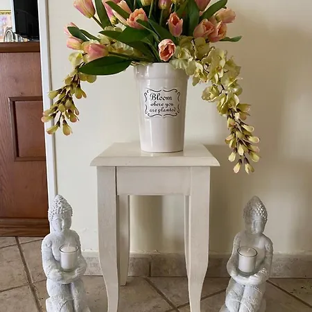 別荘 Or Son Sano *